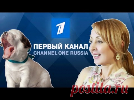 ВЛОГ/VLOG СЪЕМКИ для 1 КАНАЛА/ПРИВЕЗЛИ НОВОГО ПИТОМЦА - YouTube