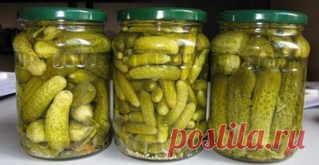 Коліжанка - жіночий інтернет-журнал - Головна