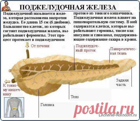 Дыхательная зарядка при панкреатите
