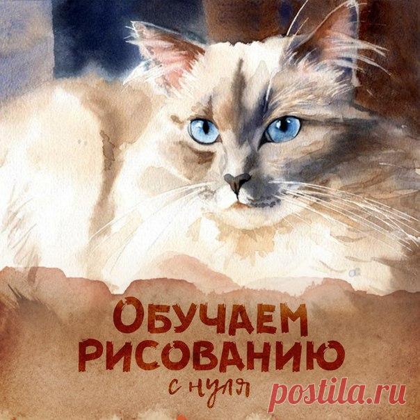 ☀ Хочешь научиться рисовать? Тебе к нам 

👊 Ты очень творческий человек? Тебе к нам 

🙌 Хочешь рисовать шедевры? Тебе к нам

Подробнее узнать здесь -👇