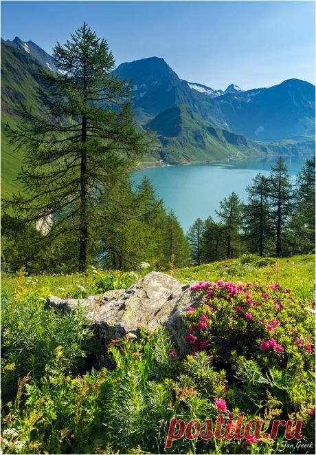 Summer in Swiss Alps