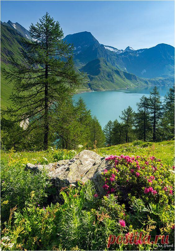 Summer in Swiss Alps