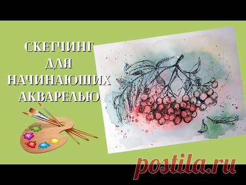 Акварельный скетчинг для начинающих. Ветка рябины акварелью