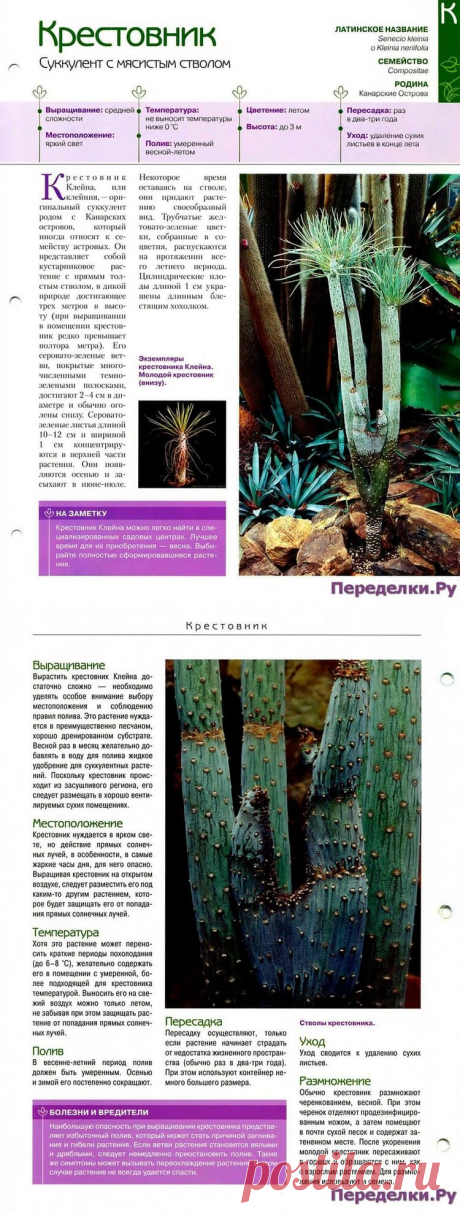 Крестовник * Переделки.РуПеределки.Ру