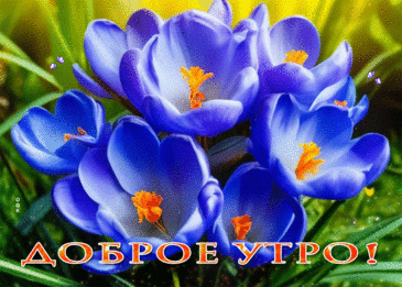 Открытка «Доброе весеннее утро»

Весеннее утро — особенное время, когда природа пробуждается, а настроение наполняется свежестью и оптимизмом. Открытка с таким пожеланием станет прекрасным способом подарить хорошее настроение с самого утра.