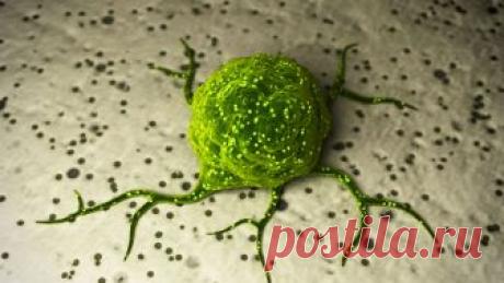 Как просыпаются раковые клетки? Раковая опухоль — сборище разнообразных клеток-монстров, но самые страшные из них — спящие клетки, невидимые для химиотерапии: они восстанавливают опухоль после того, как опасность миновала.