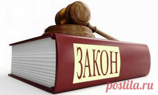 Алименты: понятие, виды и законодательное регулирование