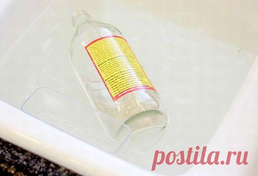 Простой способ снять этикетки с посуды - Лайфхакер