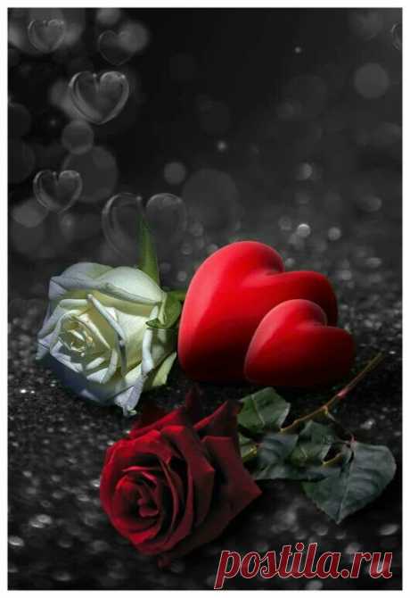 Интересные картинки, цитаты