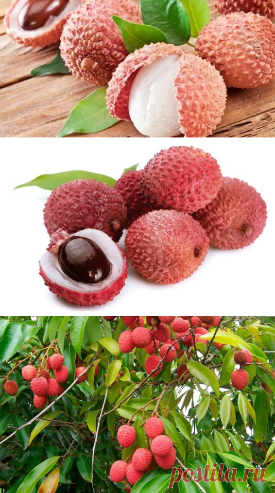 Личи: польза и вред для здоровья
Приветствую вас, дорогие читатели! Недавно в супермаркете «Лента» мое внимание привлек экзотический фрукт. Называется — личи. Естественно, возникли вопросы: что такое личи и как его есть?
Многие покупатели крутили-вертели в руках странные плоды, внимательно рассматривали, но купить «чужеземца» не решались.
Личи — это овальные плоды (2-4 см) вечнозеленого фруктового дерева, родиной которого считается Юго-Восточный Китай и Таиланд.
Плоды имеют и другие