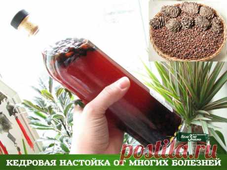 1 непрочитанный чат