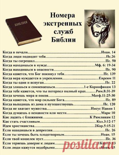 Все что мне интересно