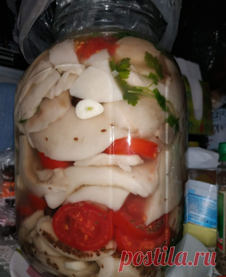 Квасить можно по-разному! Рассказываю про интересный рецепт квашения груздей