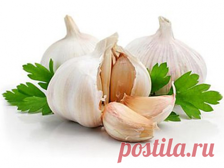 Укрепление волос чесноком - простой и доступный каждому способ улучшить состояние своих волос и избавиться от перхоти.