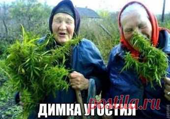 Viktoriya Torri – Google+