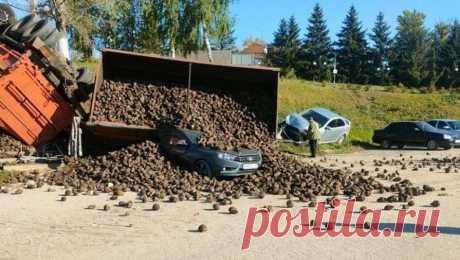 В Липецкой области грузовик со свеклой стал причиной массового ДТП. В Липецкой области крупный грузовик со свеклой перевернулся на трассе. Об этом сообщает Telegram-канал &quot;ЧП 48&quot;. Инцидент произошел в селе Хмелинец Задонского района. На видео с места событий заметно, как сначала машина слишком ...