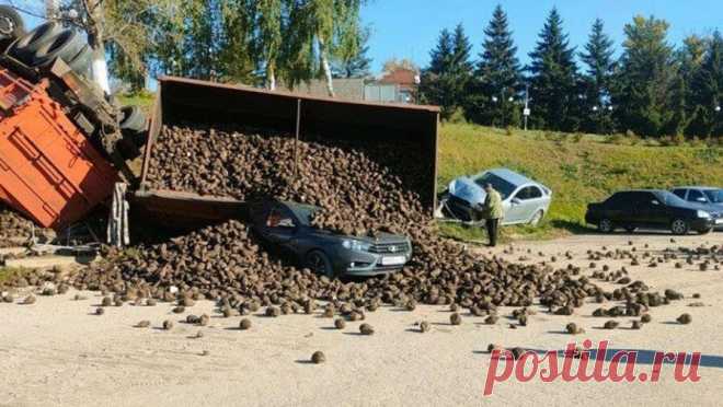 В Липецкой области грузовик со свеклой стал причиной массового ДТП. В Липецкой области крупный грузовик со свеклой перевернулся на трассе. Об этом сообщает Telegram-канал "ЧП 48". Инцидент произошел в селе Хмелинец Задонского района. На видео с места событий заметно, как сначала машина слишком ...
