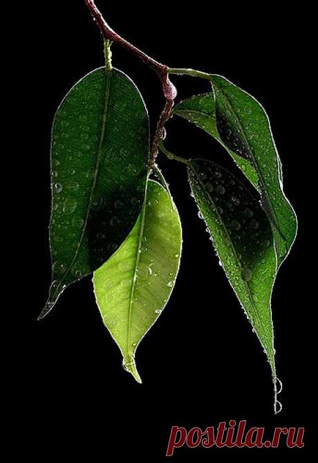 It's rainy day