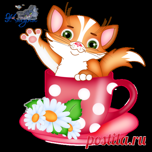 Без заголовка