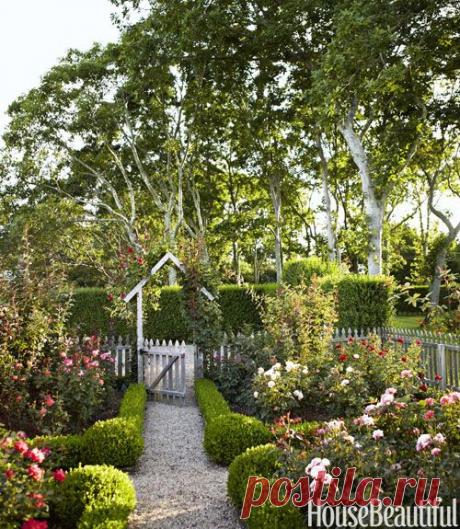 cottage garden with picket fence (Podge Bune - House Beautiful) - TOMORROWS ADVENTURES