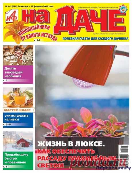 АиФ На даче №2-3 2023 * Переделки.Ру АиФ На даче №2-3 2023 Читать журнал ОНЛАЙН