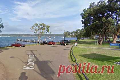 Мужчина пожертвовал собой ради спасения сына. В Австралии мужчина перевернулся на лодке с сыном и пожертвовал собой, спасая ребенка из воды. 33-летний Питер Финч и его маленький сын Джексон отправились кататься на каяках на озеро. Одна из волн перевернула лодку, мужчина схватил сына и держал его над водой, пока не подоспела помощь.