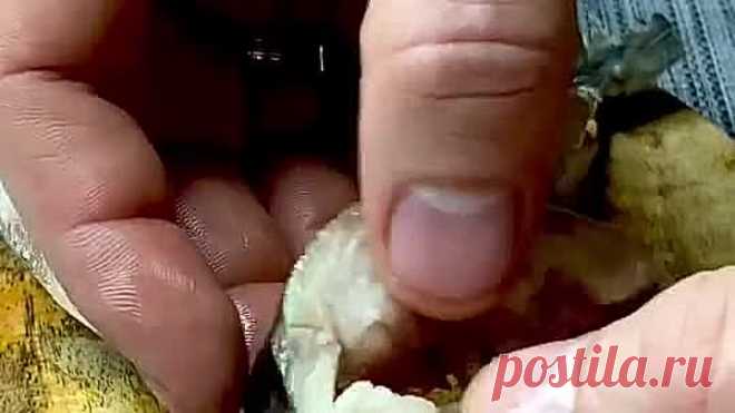 8946336a0ccc9e00270c6ad3c8eb3356.mp4