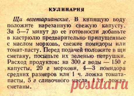 Щи вегетарианские