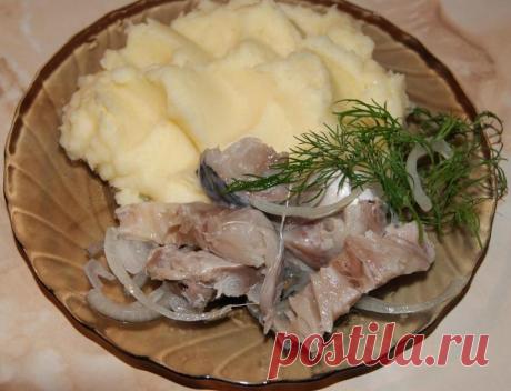 Как очень вкусно засолить скумбрию // ОПТИМИСТ