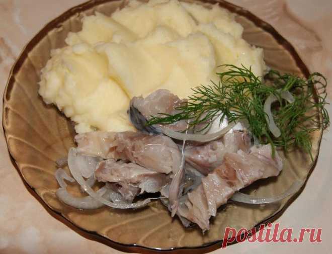Как очень вкусно засолить скумбрию // ОПТИМИСТ