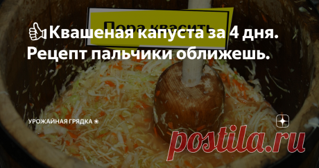 👍Квашеная капуста за 4 дня. Рецепт пальчики оближешь. Делюсь с вами моим самым любимым рецептом, уверена, что вам он понравится тоже.