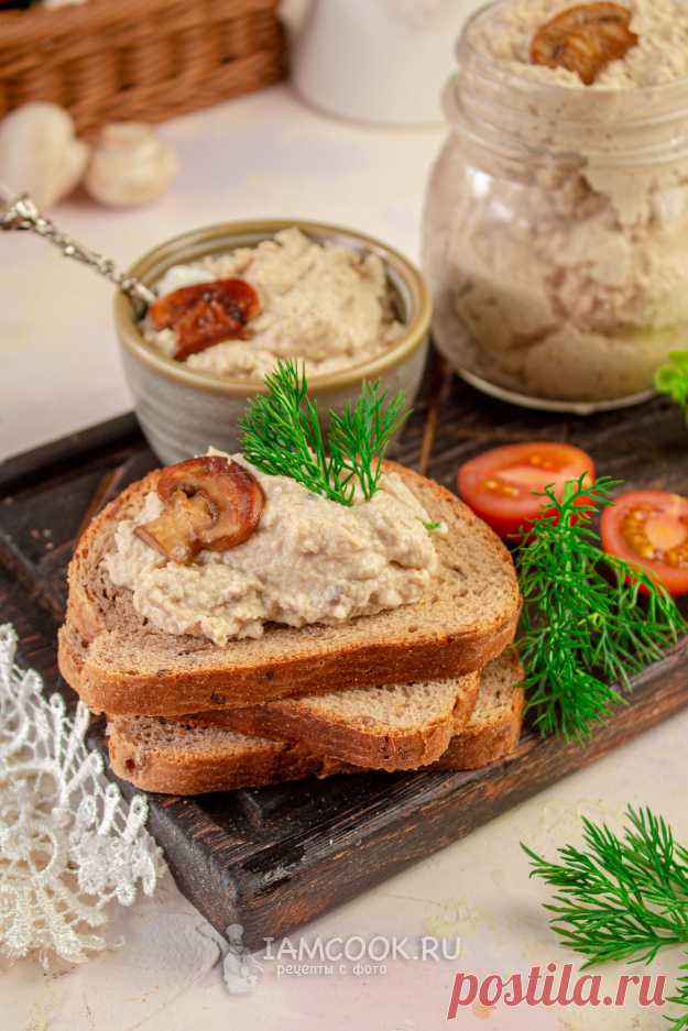 Паштет из курицы с грибами — рецепт с фото пошагово