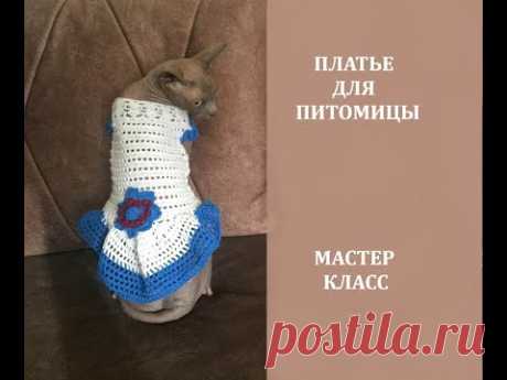 ОБНОВКА ДЛЯ КОШКИ (СОБАЧКИ) ЗА 4 ЧАСА! /МАСТЕР КЛАСС