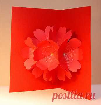 Pop-up. Объемные открытки в подарок.