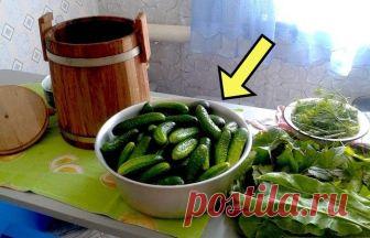 Как засолить «бочковые» огурцы прямо дома и без единой бочки