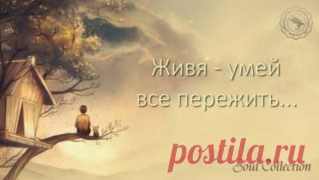Не рассуждай, не хлопочи!
Безумство - ищет, глупость - судит;
Дневные раны сном лечи,
А завтра быть чему, то будет.

Живя — умей все пережить
Печаль и радость и тревогу.
Чего желать? О чем тужить?
День пережит — и слава Богу!

Ф. Тютчев
