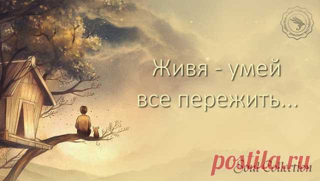 Не рассуждай, не хлопочи!
Безумство - ищет, глупость - судит;
Дневные раны сном лечи,
А завтра быть чему, то будет.

Живя — умей все пережить
Печаль и радость и тревогу.
Чего желать? О чем тужить?
День пережит — и слава Богу!

Ф. Тютчев