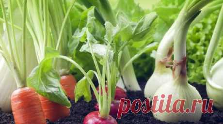 Соседи хорошие и плохие | Трыбуна працы