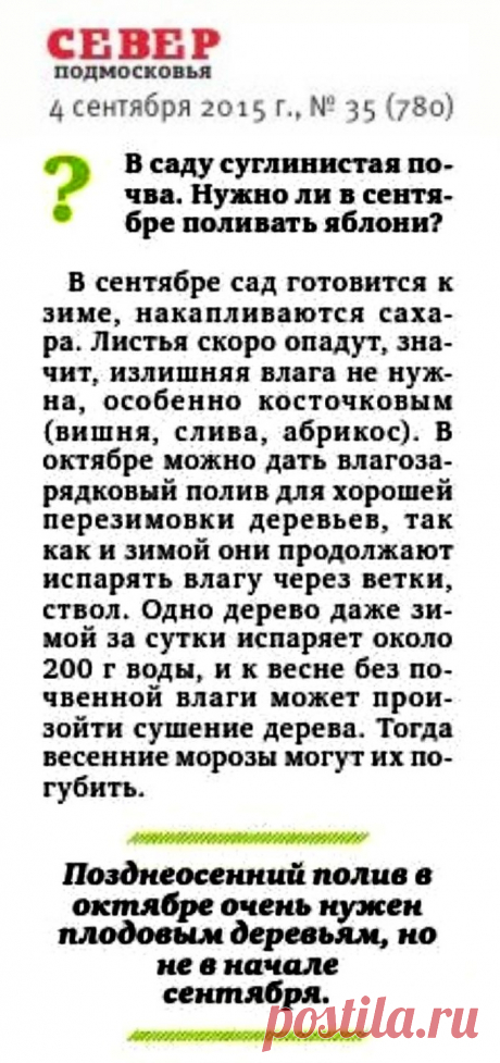Когда осенью поливать плодовые деревья