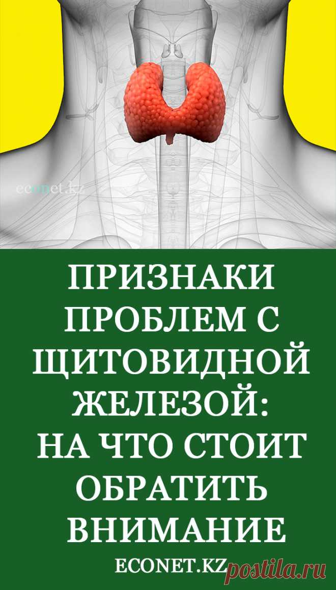 Признаки проблем со щитовидной железой: на что стоит обратить внимание

Важную роль в нашем организме играет щитовидная или эндокринная железа. Это самый крупный орган в эндокринной системе, и если нарушаются его функции, то это обязательно сказывается на здоровье и жизнедеятельности всего человека.