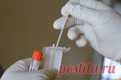 Иммунолог рассказал о появлении более заразного варианта коронавируса. Вариант коронавируса JN.1 — потомок штамма «пирола», от своего предшественника он отличается большей заразностью. При этом летальность и патогенность, вероятнее всего, не изменились. JN.1 представляет особенный интерес для специалистов. Об этом Ленте.ру рассказал иммунолог Николай Крючков.