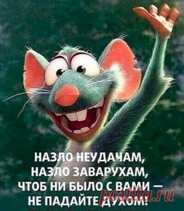 Выпуск №6554 - выпуск анекдотов сайта вокруг смеха