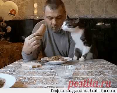 подлиза