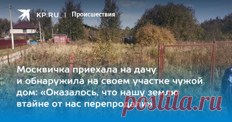 2025-- Москвичка обнаружила на дачном участке ПОСТРОЕННЫЙ за зиму ЧУЖОЙ ДОМ