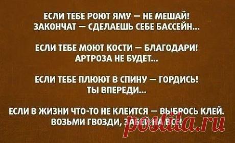 (9) Одноклассники