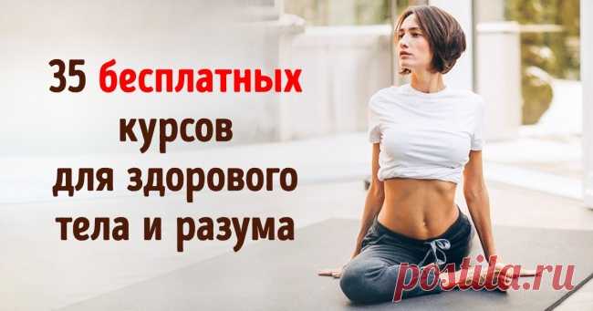 35 бесплатных онлайн-курсов, которые помогут вам привести в порядок разум и тело
