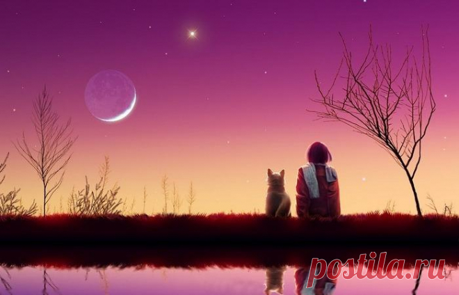 Трогательная притча о настоящей дружбе Дружбе собаки и человека посвящают стихи, песни, о ней снимают фильмы и рисуют картины. А всё потому, что собака действительно не бросает своего хозяина даже в самые тяжёлые времена. А бывает и так, ч...