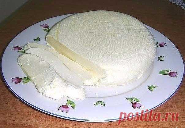 Домашняя брынза