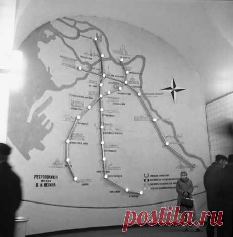 На том же месте через годы. | Ленинградский наблюдатель. | Яндекс Дзен 1973 год