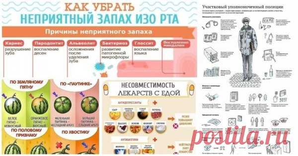 ШПАРГАЛКИ О ВСЯКОМ-РАЗНОМ, ЧТО НАДО ЗНАТЬ В НАШЕЙ ЖИЗНИ